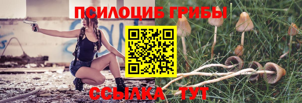 Псилоцибиновые грибы MAGIC MUSHROOMS Когалым